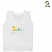 تصویر رکابی جوجه اردک سفید کوکالو cocalo 