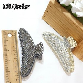 تصویر کلیپس مجلسی نگینی 