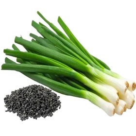 تصویر بذر پیازچه 