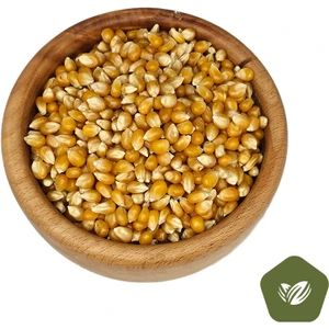 تصویر فروشگاه ناتس هوم