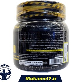 تصویر ال گلوتامین ژن استار 500 گرمی Genestar L Glutamine