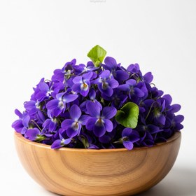 تصویر گل بنفشه 