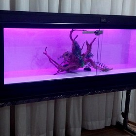 تصویر تراریوم RGB_MP1244 