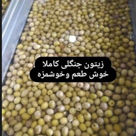 تصویر زیتون جنگلی 