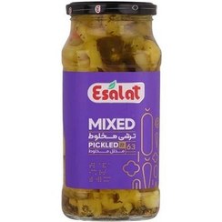 تصویر اصالت ترشی مخلوط ریز 570گرم 