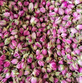 تصویر غنچه گل محمدی ارگانیک 