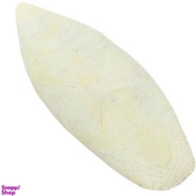 تصویر کف دریا - 100 گرم 