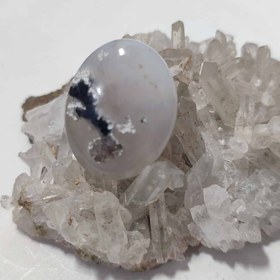 تصویر عقیق شجر بهاری 