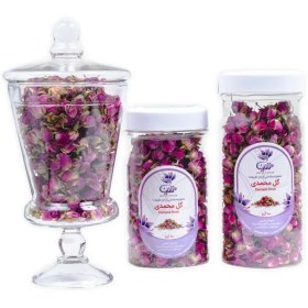 تصویر غنچه گل محمدی 