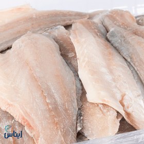 تصویر ماهی سی بس 