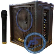 تصویر اکو همراه برین مدل 1880 با میکروفن بی سیم سایز ۸ اینچ 