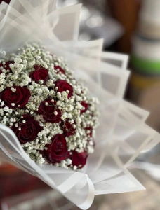 تصویر فروشگاه گل و گیاه فلوریکا