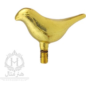 تصویر مرغ آمین طلایی 