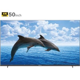 تصویر تلویزیون سینگل 50 اینچ 5022 single TV 4K model 5020