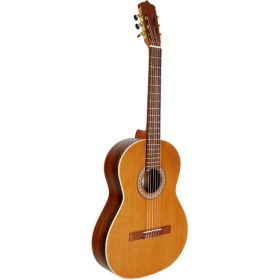 تصویر گیتار پارسی مدل guitar p80 