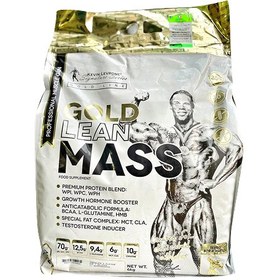 تصویر وایکینگ فرگ گینر (Gold Lean Mass Kevin) 5000 گرم 