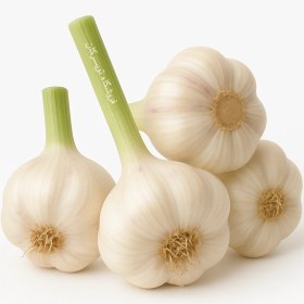 تصویر خرید سیر 