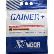 تصویر پودر گینر ویگور ۳۰۰۰ گرم طعم فندق 