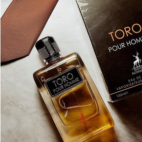 تصویر ادوپرفیوم مردانه الحمبرا (Alhambra) مدل Toro حجم 100 میلی‌ لیتر عطر مردانه