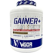 تصویر گینر پلاس ویگور Vigor Gainer