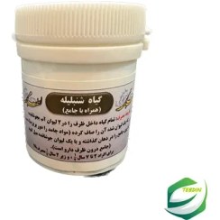 تصویر جامع شنبلیله 