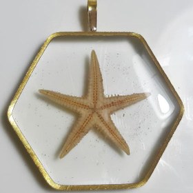 تصویر گردنبند رزینی ستاره دریایی 