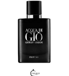 تصویر عطر گرمی آکواجیوپرفومو Acqua di Gio Profumo 