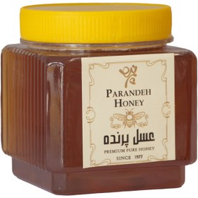 تصویر عسل شهد کلاسیک 1 کیلویی 