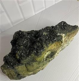 تصویر اپیدوت کلکسیونی لوکس 