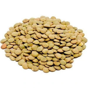 تصویر فروشگاه عطاری ملکی