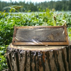 تصویر شانه عسل طبیعی با موم 