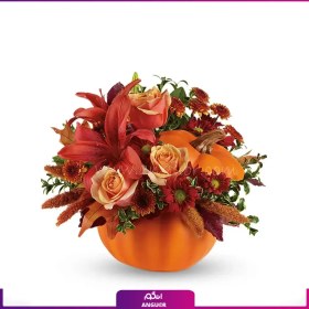 تصویر کدو هالووین 