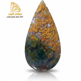 تصویر شجر پاییزی (کد ۳۸) 