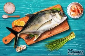 تصویر ماهی حلوا دبسی 