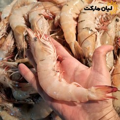 تصویر میگو دریایی بوشهر سایز 10-15 (شاه‌میگو درشت) | وزن متغیر ۱۰ تا ۳۰ کیلویی 