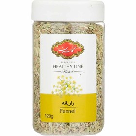 تصویر رازیانه گلستان 120 گرم 