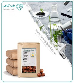 تصویر فندق بوداده فله 