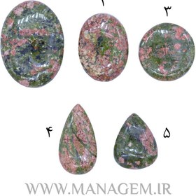 تصویر نگین اوناکیت 