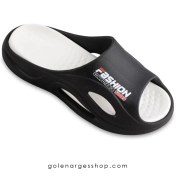 تصویر دمپایی مردانه مدل ساشا 