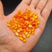 تصویر پک ۱۰۰ عدد چشم گربه نارنجی روشن 