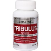 تصویر کپسول گیاهی تریبولوس 500 میلی گرم دایان فارما Tribulus 500 mg Dayan Pharma