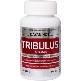 تصویر کپسول تریبولوس دایان هات 500 میلی گرم 60 عددی ا Tribulus 500 mg Tribulus 500 mg