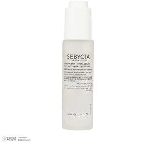 تصویر سرم صورت سبیکتا آبرسان 30 میل Sebycta Skin Hydra Serum 30ml