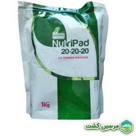 تصویر کود کامل 2020 نوتری پاد ایرانی ده کیلویی Nutripad 20.20.20 Soluble NPK 10Kg Fertilizer