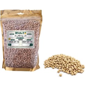 تصویر نخود ارگانیک 