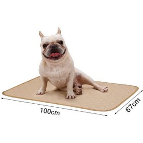 تصویر پد ادرار قابل استفاده مجدد و شستشو برای سگ - بژ برند neostyle Neostyle Reusable Washable Dog Pee Pad Beige