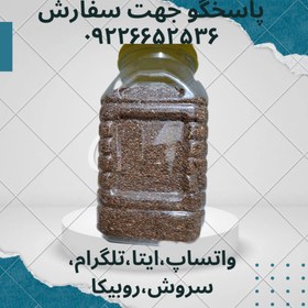 تصویر تخم کتان قرمز 