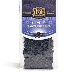 تصویر مویز رادگل 