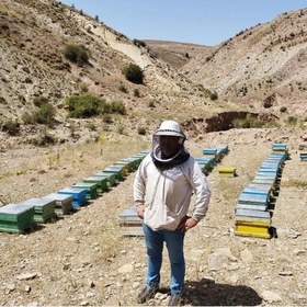 تصویر گرده گل هفت رنگ200 گرم خالص مرتع زنبورستان گل ماهور با کیفیت اعلا 