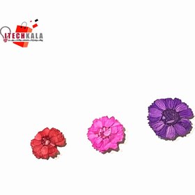 تصویر گل خشک 3 رنگ وارداتی 
